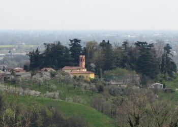 molvena