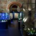 visitatori al Museo Tamo