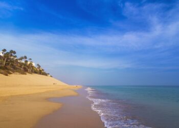 canarie