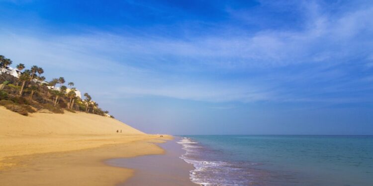 canarie