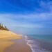 canarie