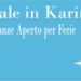 natale-in-carinzia-in-camper
