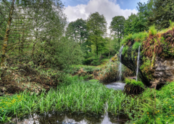 nel-cuore-verde-dell'irlanda
