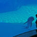> Oltremare: gli eventi del week end