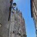 Sabato 16 settembre ad Orvieto (TR) “Vini ed assaggi oleocentrici” al Palazzo Filippeschi Simoncelli
