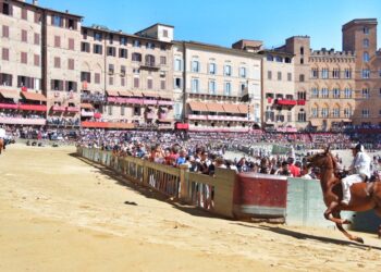siena