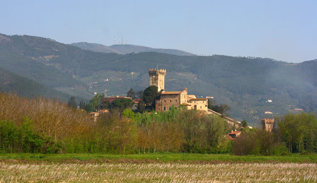 panorama area di sosta camper di Vicopisano