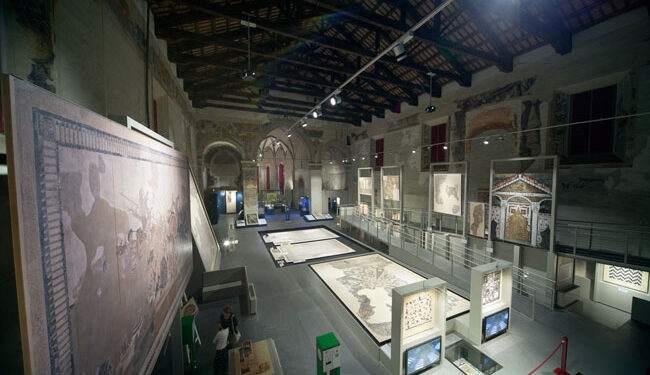 panoramica del museo Tamo