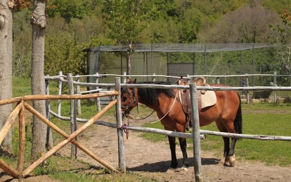 Parco La Nuova Peschiera di Teano