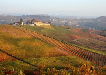 Nuova Convenzione Tessera Turit con l’Azienda Agricola Pecchenino (CN)