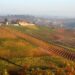 Nuova Convenzione Tessera Turit con l’Azienda Agricola Pecchenino (CN)