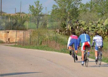 Pedalando tra i fichi d’India