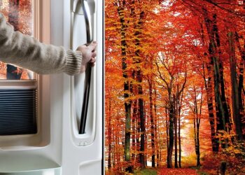 Bonometti Centrocaravan: due porte aperte il 13 novembre nelle sedi di Trento e di Altavilla Vicentina