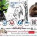 Porte aperte domenica 13 aprile in Grosso Vacanze a Vercelli!
