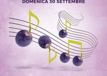 vendemmia