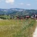 Quattro itinerari ciclistici per scoprire il cuore delle Marche a ritmo lento