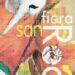 raduno-fiera-di-san-rocco