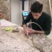 Restauro in Diretta - Musei di notte - Tamo for kids