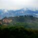 settimana del quadrifoglio
