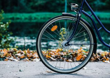 Stai pensando a una vacanza diversa? Magari in bici..