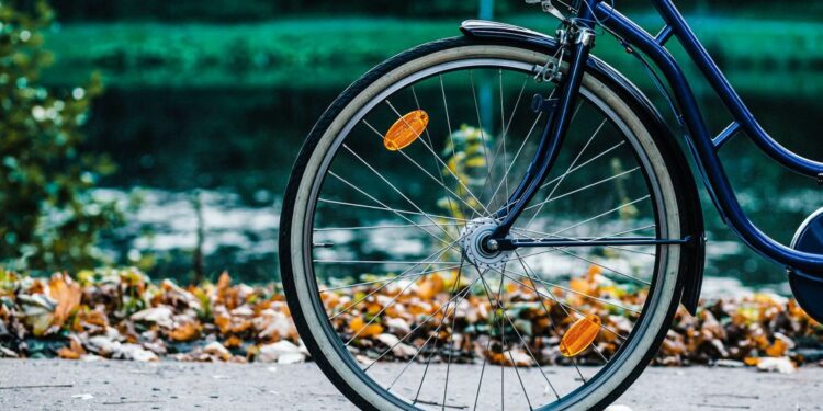 Stai pensando a una vacanza diversa? Magari in bici..