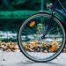 Stai pensando a una vacanza diversa? Magari in bici..