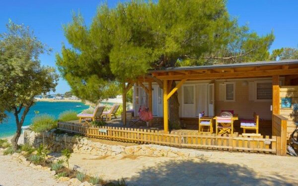 Speciale Faita al SUN di Rimini
