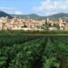 Raduno camper "il Classico olio novello" a Spello