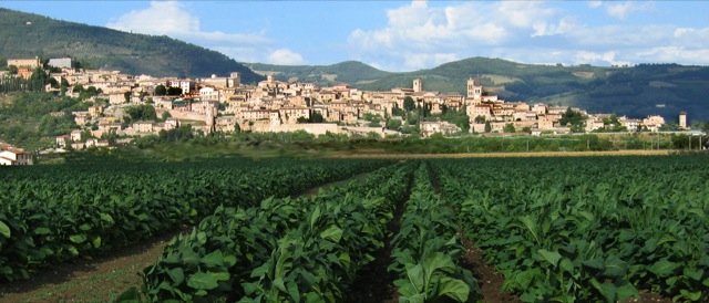 Raduno camper "il Classico olio novello" a Spello