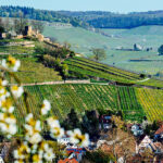 Germania strada delle fortezze
