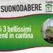 Movimento Turismo Vino, arriva Cantine Aperte domenica 25 maggio