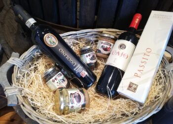 Nuova Convenzione Tessera Turit con la Cantina Terre de’ Trinci (PG)