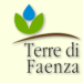 terre-di-faenza