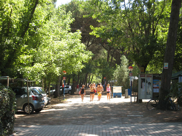 tessera turit