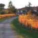 Nuova Convenzione Tessera Turit con la Cascina Torello (CN)