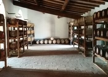 Nuova Convenzione Tessera Turit con la Fattoria di San Leo (AR)