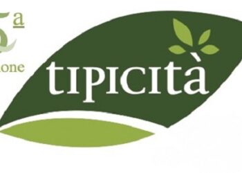 FLogo Tpicita 2017 a Fermo