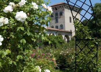 Tour al profumo di rosa in Franciacorta