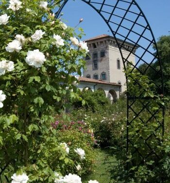 Tour al profumo di rosa in Franciacorta