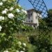 Tour al profumo di rosa in Franciacorta