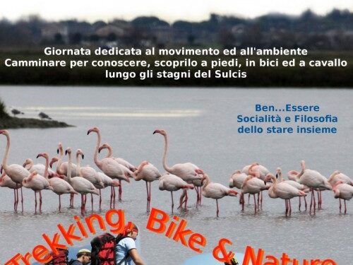 trekking-bike-nature