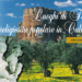 Turismo Religioso in Calabria