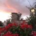 Umbria: via Francesco - Spello