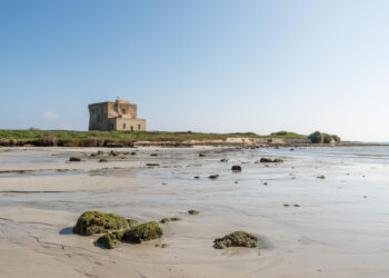 A Torre Guaceto (BR) la tappa pugliese di The Road to Terra Madre dedicata alla rigenerazione degli ecosistemi