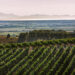 A Livorno il 13 e 14 novembre la prima edizione di Wine Destinations Italia