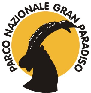 A piedi tra le nuvole