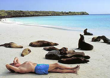 vacanze alle Galapagos