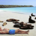 vacanze alle Galapagos