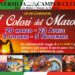 marocco