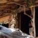 video-safari-camping
